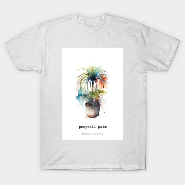 Ponytail Palm, Mexican Plant T-Shirt by Walter WhatsHisFace